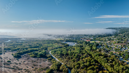 panoramic drone view of Carmel River, California with forest and city