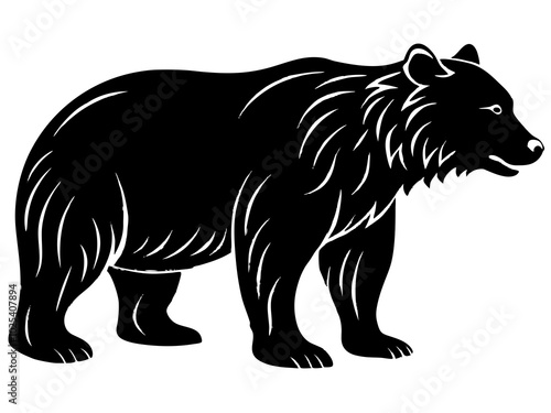 illustration of a bear