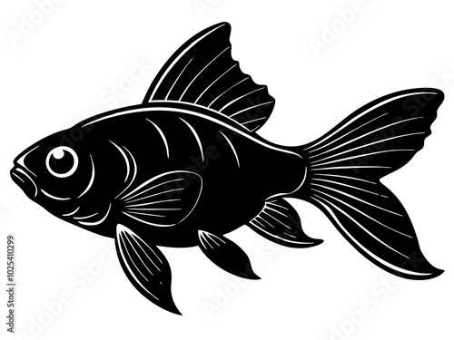 fish on white background