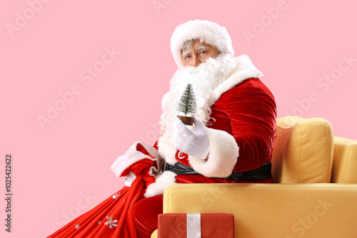 Santa Claus with decorative...