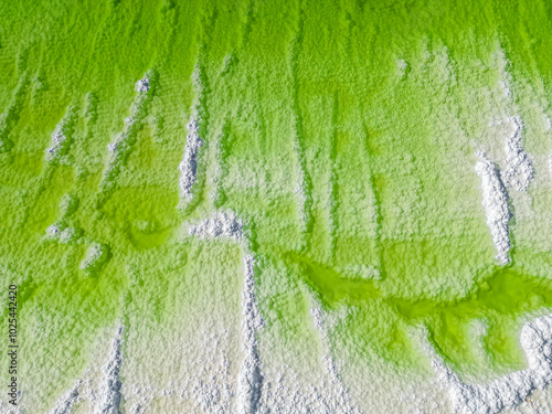 The top down view of the Qarhan Playa in Qinghai Province, China. photo