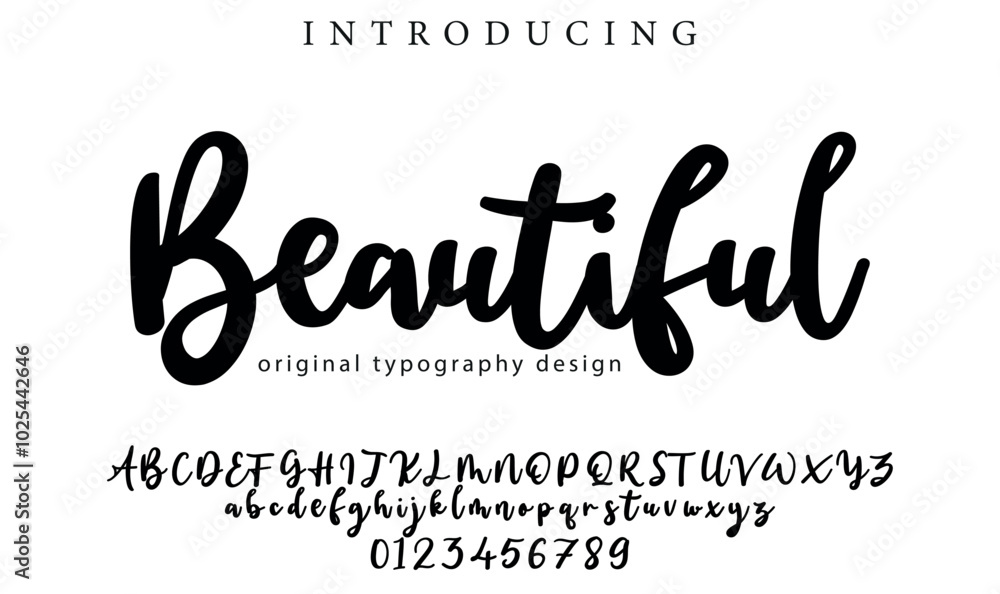 Beautiful Font Stylish brush painted an uppercase vector letters, alphabet, typeface Beautiful Font Stylish brush painted an uppercase vector letters, alphabet, typeface