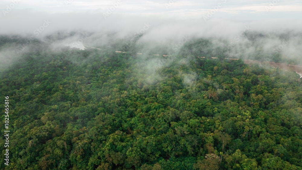 NANAY RIVER IN THE PERUVIAN JUNGLE, A LARGE AND COLORFUL BLACK WATER RIVER IN THE DEPTHS OF THE JUNGLE, A RIVER SURROUNDED BY TREES NANAY RIVER IN THE PERUVIAN JUNGLE, A LARGE AND COLORFUL BLACK WATER RIVER IN THE DEPTHS OF THE JUNGLE, A RIVER SURROUNDED BY TREES