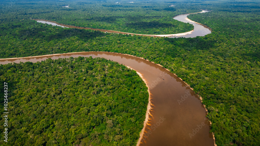 NANAY RIVER IN THE PERUVIAN JUNGLE, A LARGE AND COLORFUL BLACK WATER RIVER IN THE DEPTHS OF THE JUNGLE, A RIVER SURROUNDED BY TREES NANAY RIVER IN THE PERUVIAN JUNGLE, A LARGE AND COLORFUL BLACK WATER RIVER IN THE DEPTHS OF THE JUNGLE, A RIVER SURROUNDED BY TREES