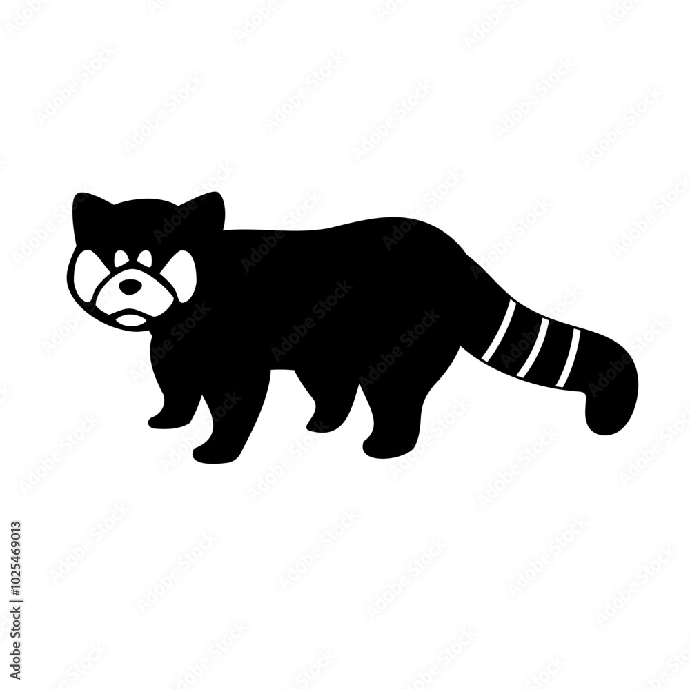アライグマ アライグマ