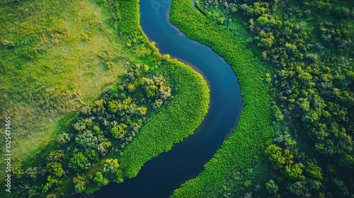 Serene Aerial View of a Curving River in Nature