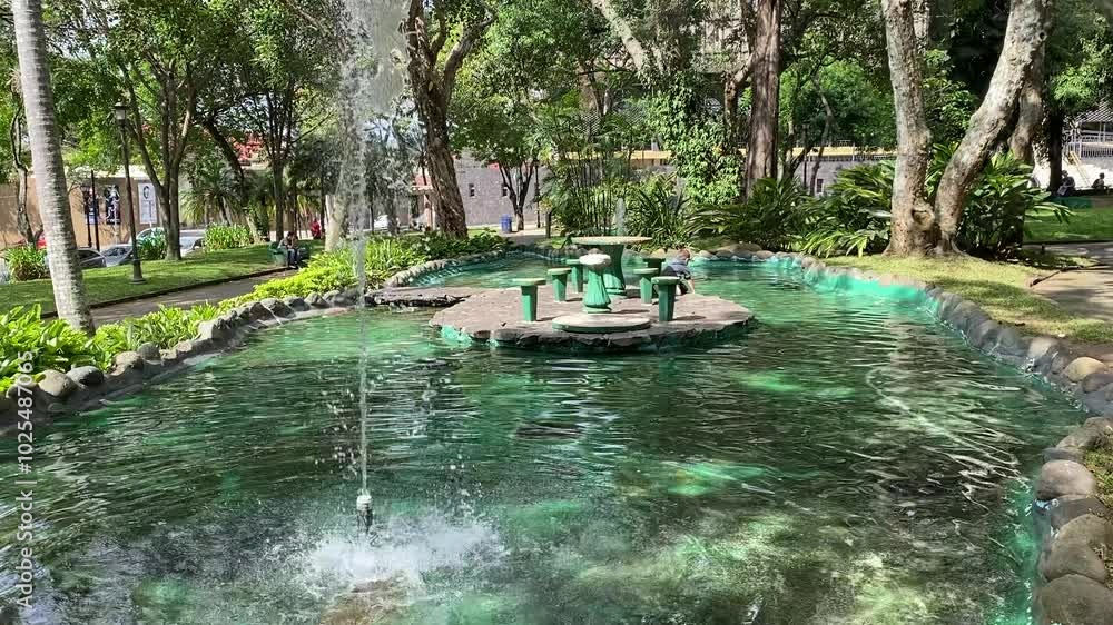 Revelación de fuente detrás de árbol, cámara lenta, calles arquitectura colonial San José Costa Rica Revelación de fuente detrás de árbol, cámara lenta, calles arquitectura colonial San José Costa Rica