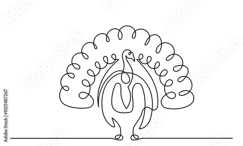 Continuous line drawing of turkey bird illustration.Farmyard Bird Animal
Thanksgiving Turkey line art vector isolated on a white background. Wild Osceola turkey
Meleagris gallopavo.
