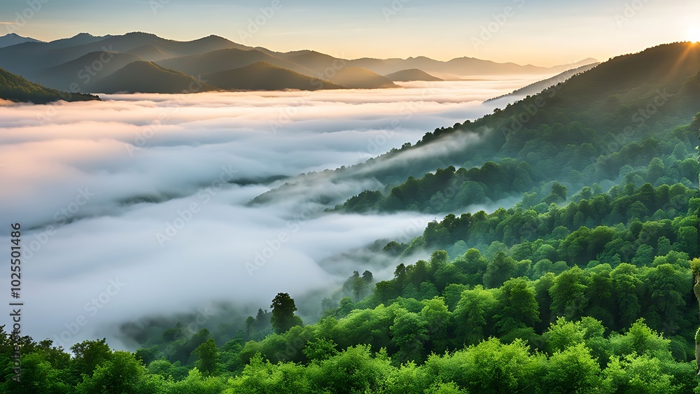 Fototapeta premium Sunrise Over Foggy Mountain Forest