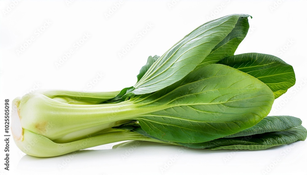 Bok choy on white background. Bok choy Isolated. Bok choy on white background. Bok choy Isolated.