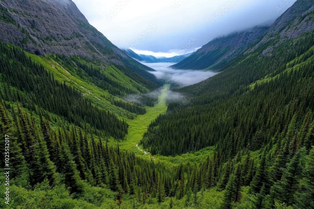 Fog rolling over a valley of evergreen trees, with the forest below only partially visible through the thick mist, creating a sense of depth and stillness Fog rolling over a valley of evergreen trees, with the forest below only partially visible through the thick mist, creating a sense of depth and stillness