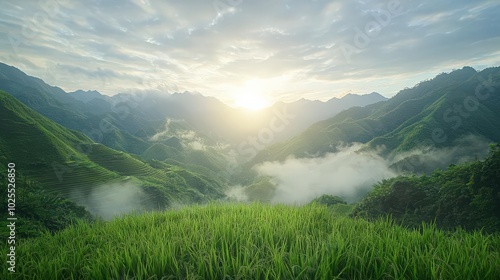 Sunrise over mountain valley with fog