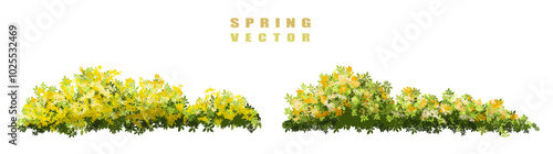 Vector of tree or blooming  side view isolated on white background ,watercolor tree elevation for landscape concept,environment scene,eco design,blossom garden for spring