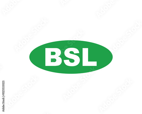 BSL logo design vector template. BSL