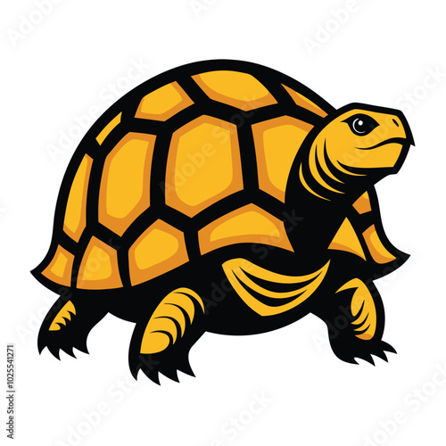 Solid color Radiated Tortoise animal vector design photo