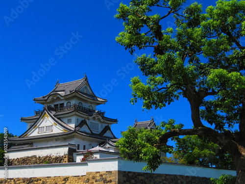 Kishiwada Castle photo