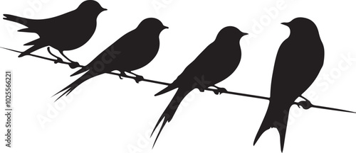 Birds sitting on a wire silhouette vector art illustration.