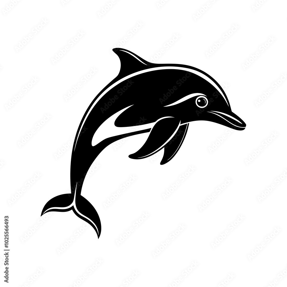 dolphin isolated on white background dolphin isolated on white background