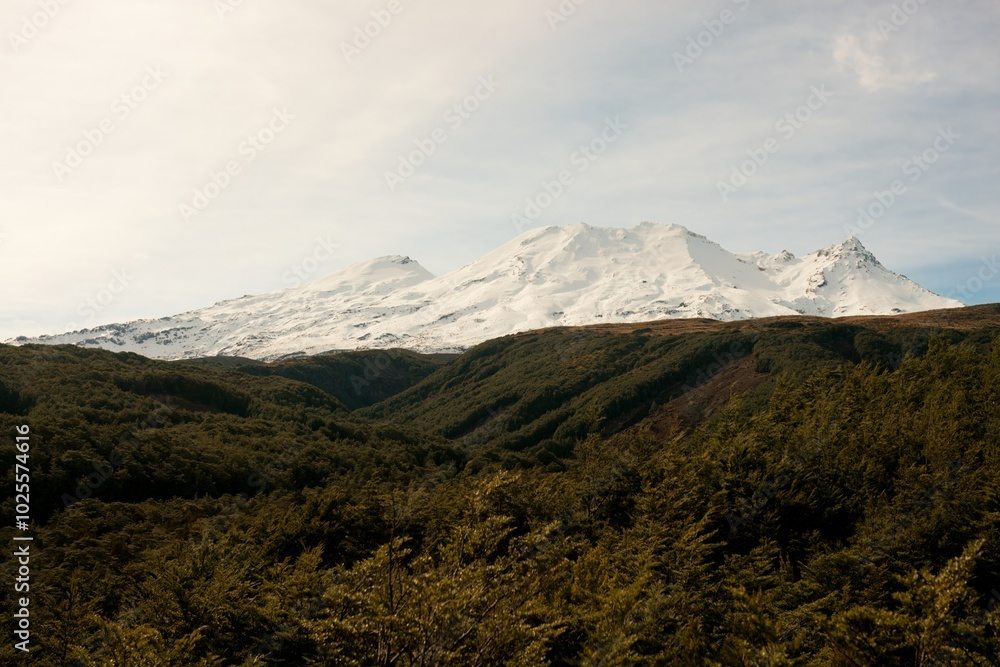 Snowy Mt Ruapehu Landscape Snowy Mt Ruapehu Landscape