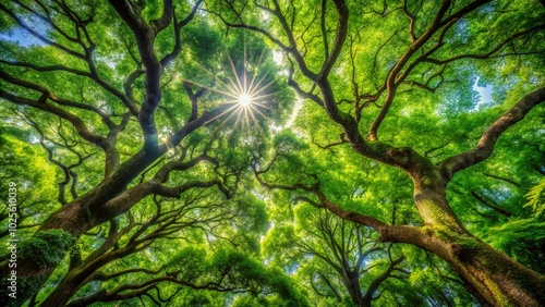 Lush Green Leaves and Verdant Foliage in High Dynamic Range Nature Background