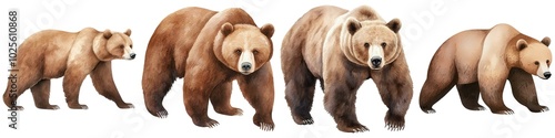 Four brown bears of varying sizes walking side by side, showcasing their growth stages and distinct characteristics.