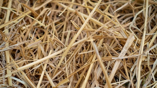 Close-up of Straw: Rustic Texture and Natural Beauty