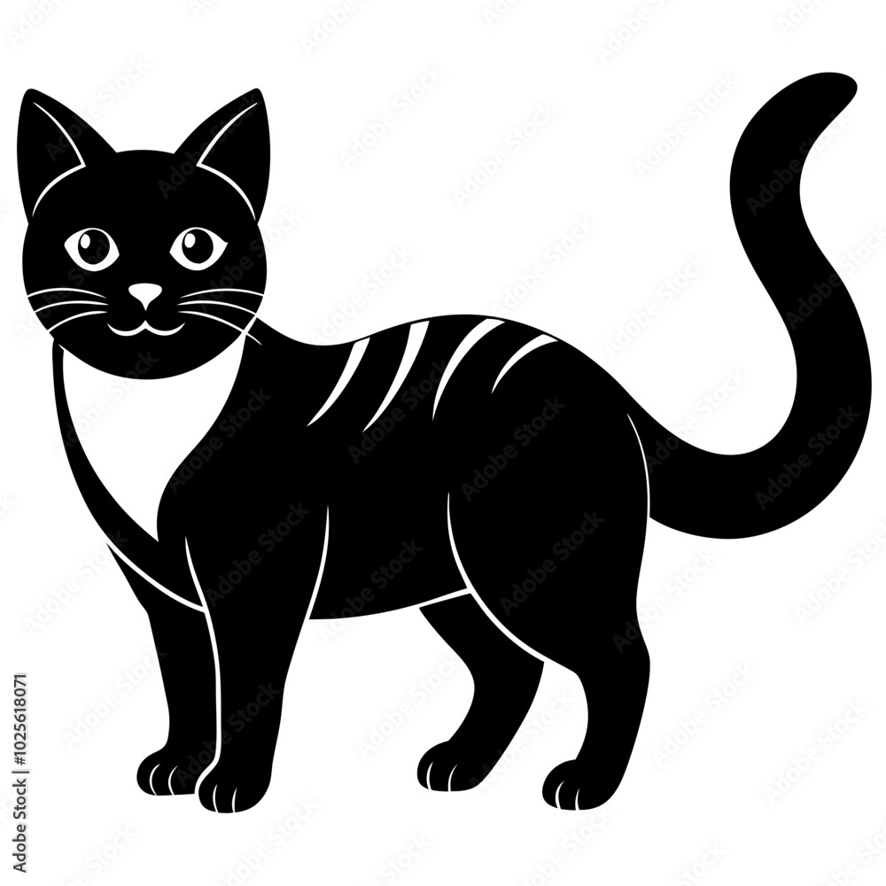 black cat isolated on white black cat isolated on white