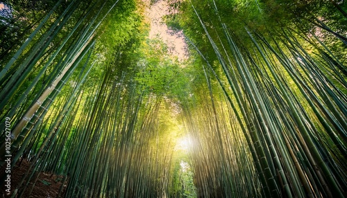 The gentle sway of the stalks creates a serene atmosphere. 