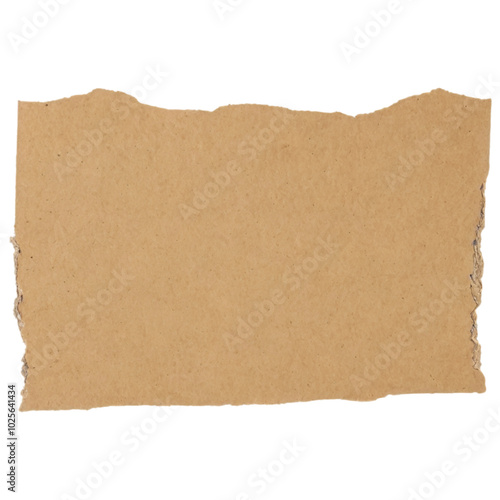 a piece of packaging cardboard with torn edges, png file