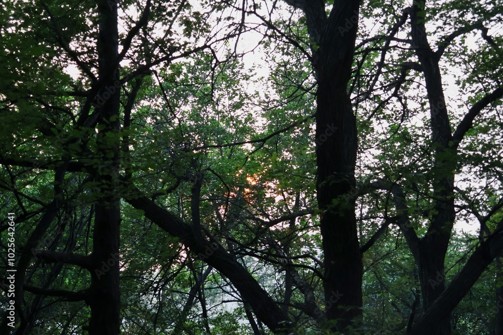 Scenic Beauty of Qipanshan: A Majestic Mountain Landscape