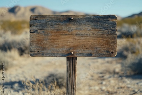 Weathered blank wooden sign in desert, with copy space photo