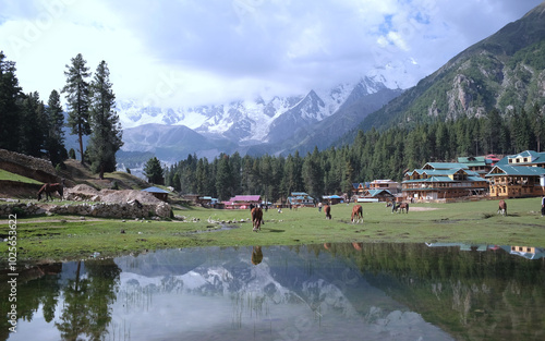 Morning lake view at Fairy Meadows