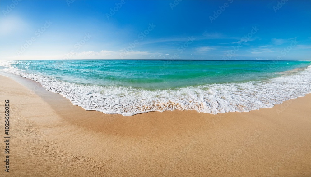 The shore is alive with the sounds of nature. The shore is alive with the sounds of nature.