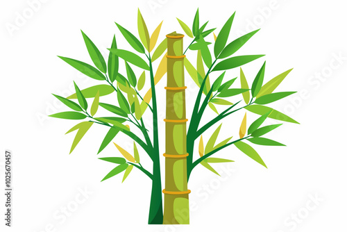 Bamboo stems and leaves on white background illustration