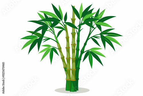 Bamboo stems and leaves on white background illustration