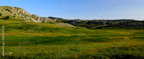 Sumpfgebiet im Naturpark Blidinje, Bosnien-Herzegowina // Wet meadow in the Blidinje Nature Park, Bosnia and Herzegovina photo