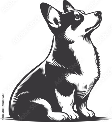 Pembroke Welsh corgi dog silhouette vector design