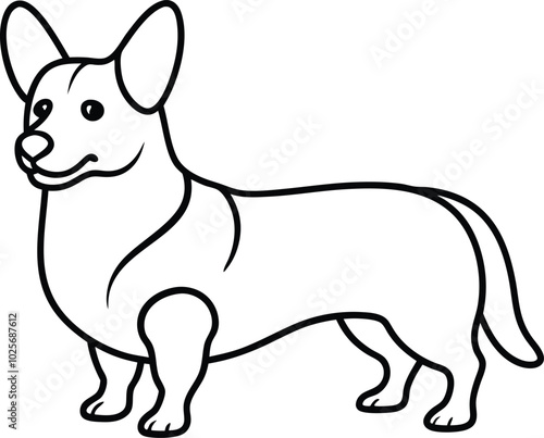 Pembroke Welsh Corgi dog breed vector black line illustration isolated on a white background.