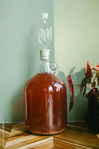 Photography Homemade Wine in a carboy with airlock