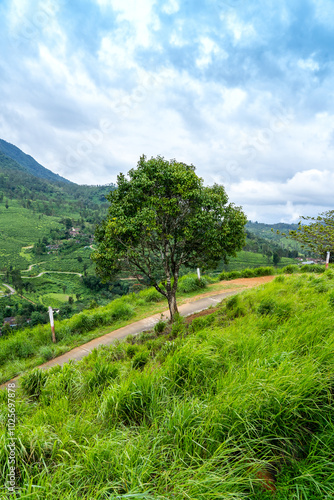 Yellamalai from Gudalur, Tamil Nadu - A Plantation Village in Tamil Nadu Neelagiri District. photo