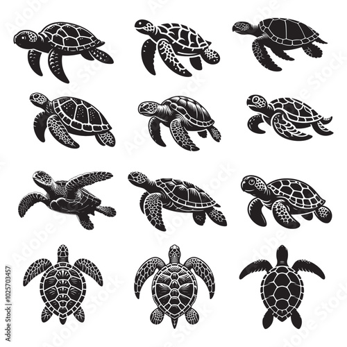 set of sea turtle silhouettes vector