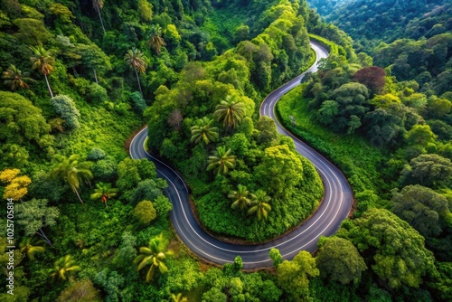 An aerial shot captures a serpentine asphalt road weaving through vibrant tropical rainforest, framed by majestic mountains and highlighting the enchanting beauty of nature's landscape.