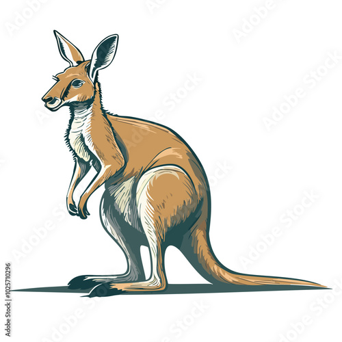 Colorful Illustrated Kangaroo in a Standing Pose
