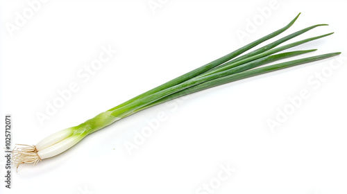 Fresh green onion with long stalk on white background photo