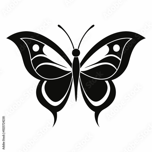 butterfly