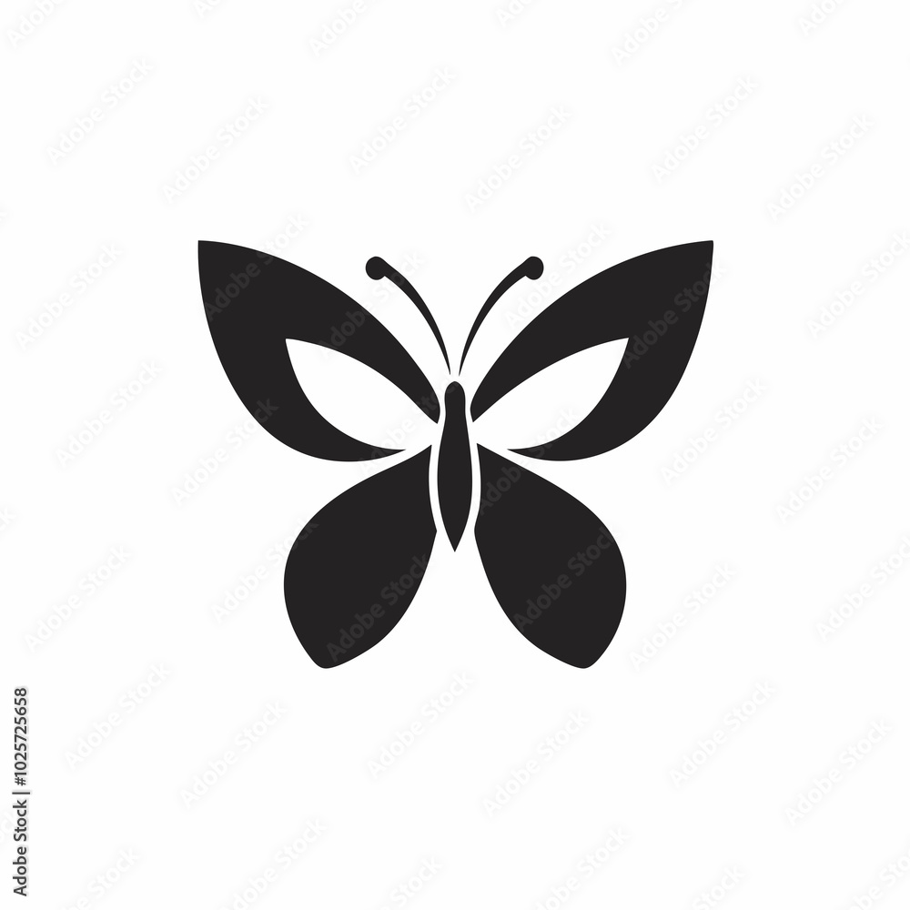 butterfly butterfly