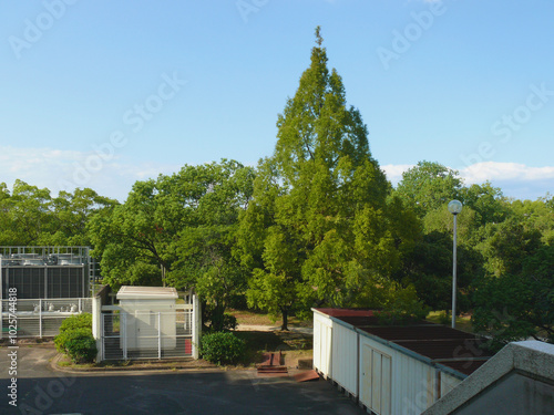 スポーツ公園体育館裏の関連設備 photo