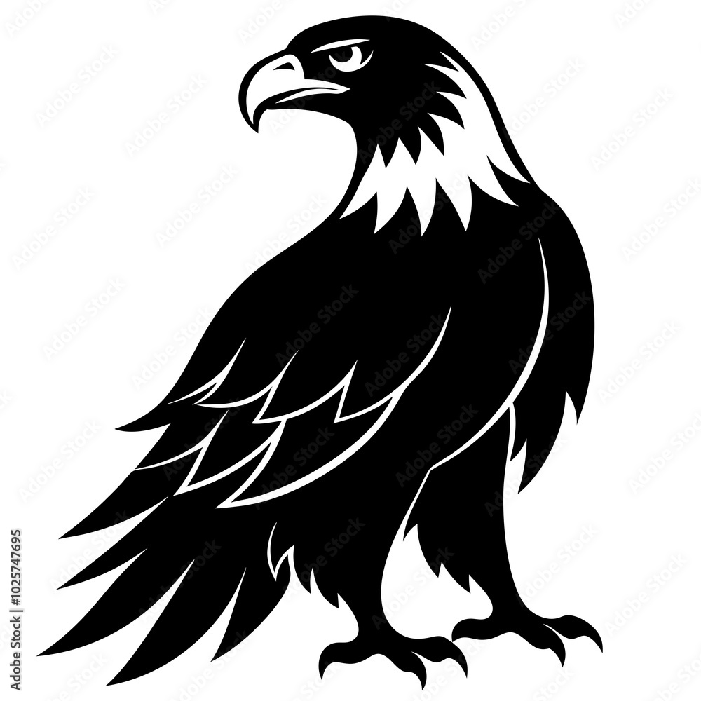 eagle silhouette isolated on white eagle silhouette isolated on white