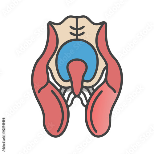 Icon of anatomy in medical science