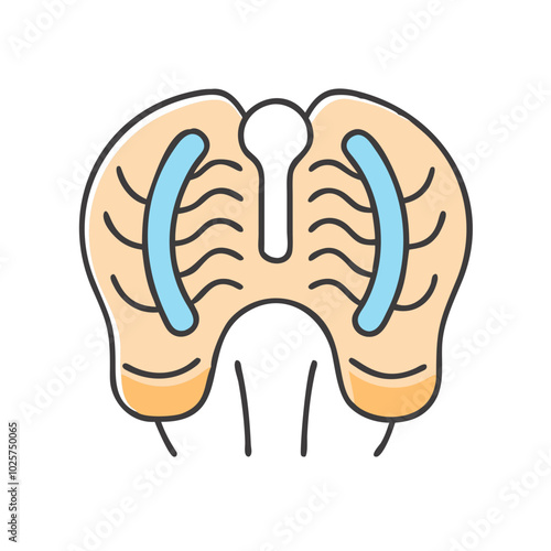 Icon of anatomy in medical science